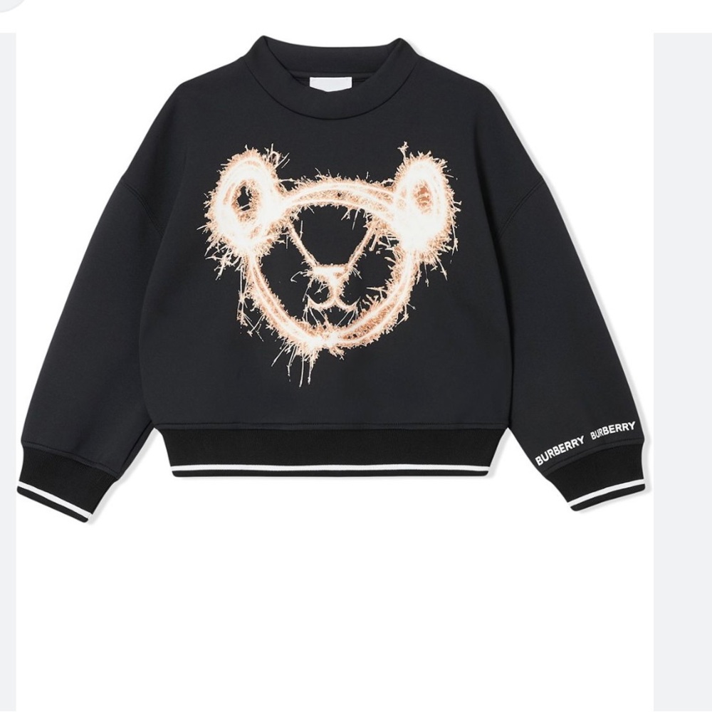 Burberry kids teddy sweatshirt unisex sold out online never worn NWOT size 10